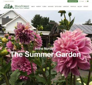 Main Street Nursery Website Home Page